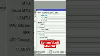 Cara Setting VLAN Mikrotik