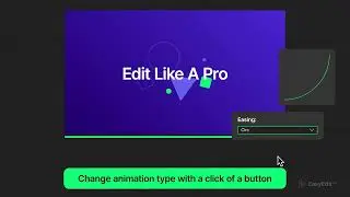 Presets Pro - After Effects template