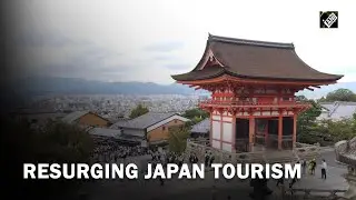 Japan tourism on recovery mode after months-long curbs