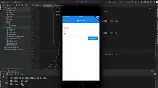 Flutter -  Get Data from Text Field   | Text Input Widgets | Input Text And Access Data | TextField