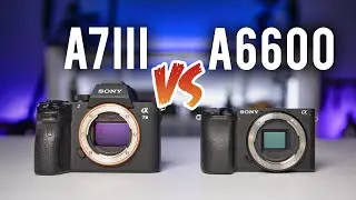 Sony a7iii vs a6600 | Full Frame or APS-C?