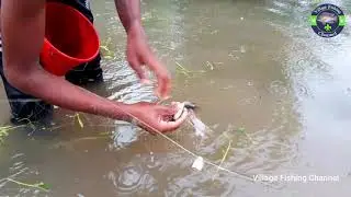 Rainy Day Net Fishing With Village River |  Fishing Media