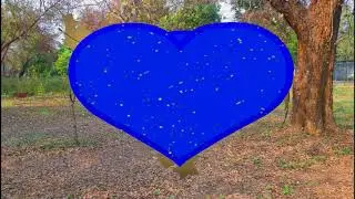 Green Screen Shadi background video HD || Green Screen Beautiful background Animated video 2019