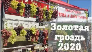 Золотая гроздь 2020г. Наш стенд.