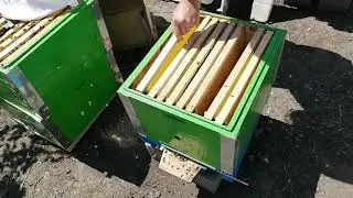 РОЕНИЕ БЕЗ ПОТЕРЬ Противороевой приём от Демари Г. В.