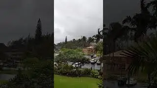 Terrible weather day on Kauai, Hawaii. What is it like living in Hawaii #islandlife #kauai #weather