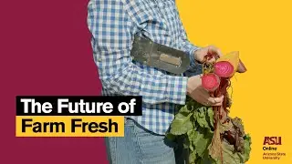 Online students get an exclusive look at Arizona food production | ASU Online