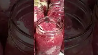 Don't Wait! Start Home Canning Meat NOW! #shorts