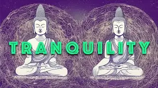 Tranquil Mindscapes: Ambient Music for Stress Relief and Healing