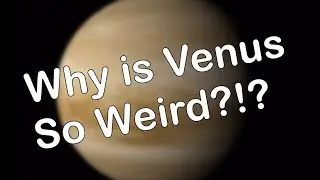 Venus is a WEIRD Planet 