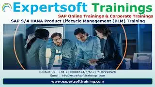 SAP S4HANA Product Lifecycle Management (PLM) Training | SAP S4HANA PLM Corporate Training