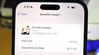 ANY iPhone How To Access Documents and Data!