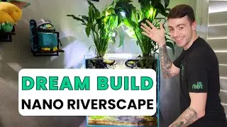 The ROOT SCAPE! Beautiful RIVER INSPIRATION Aquascape Build