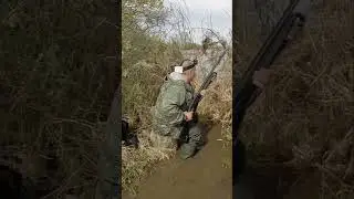 Охота на селезня (весна 2024г.)