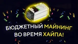 Бюджетный МАЙНИНГ на ASIC-ах во время ХАЙПА: цены, доходность, окупаемость