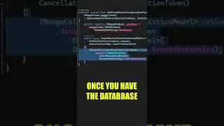 This is how to query a MongoDB database