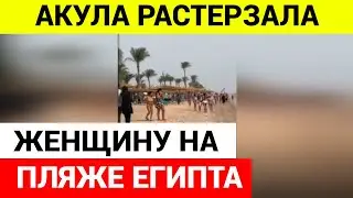 Акула снова напала на туриста на египетском курорте