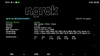 How to Create Multiple Tunnels using ngrok in Termux | Ngrok configuration file editing