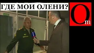 План Шойгу - до 2025 года пересадить вторую армию на оленей?