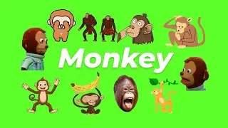 Animated Monkey GIF Green Screen Pack (Free Download)