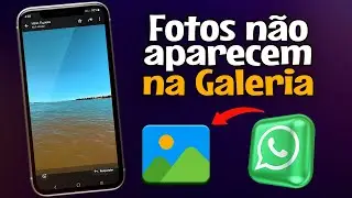 WHATSAPP NÃO MOSTRA FOTOS E VÍDEOS NA GALERIA! (COMO RESOLVER)