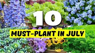 😍 HOT PICKS! 10 BEST Flowers & Vegetables to Plant in JULY! 🌞