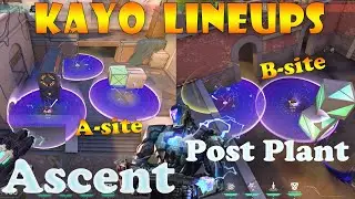 Top 15 NEW Ascent Kayo Post Plant Lineups | Kayo Lineups Ascent | Kayo Setups Ascent