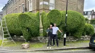 Real-life Edward Scissorhands turns hedges into giant leafy sculptures in London