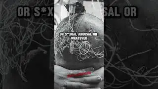 Why People Love Being Angry: Surprising Brain Study Explained | Joe Rogan & Andrew Huberman #jre