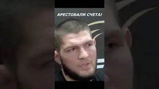 Налоговая арестовала личные счета Хабиба Нурмагомедова. #sports