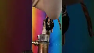 Solder XLR cable 