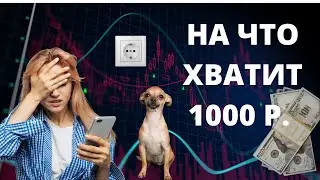 Куда инвестировал 1300 рублей? Инвест идеи на август 2022.  Дивиденды Сургутнефтегаз и Ростелеком