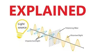 A Level Physics: What is polarisation?