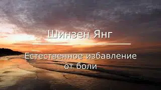 Естественное избавление от боли с помощью практики медитации   Шинзен Янг