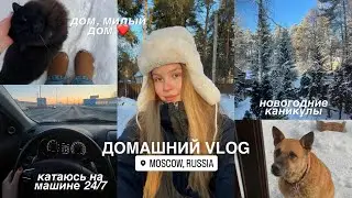 мои новогодние каникулы в Москве ВЛОГ 🏡✨ дом, животные, мысли о Лондоне