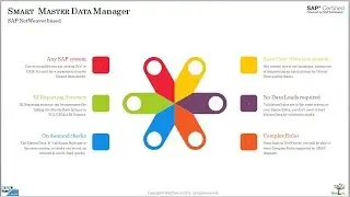 WhizTree SAP Master Data Management - Product Introduction