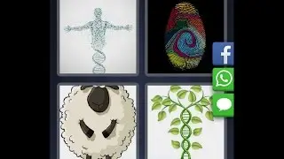 4 фотки 1 слово - ответы 263 уровень [HD] (iphone, Android, IOS)