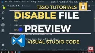 How to Remove the file preview in Visual Studio Code