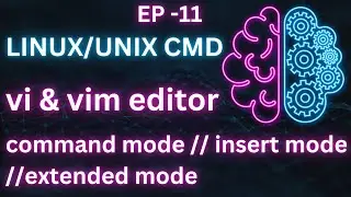 Linux Basic Command // Vi And Vim Editor // Command Mode // Insert Mode // Extended Mode // EP 11