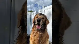 Mud fixes everything... including Linda's face 🧖🤎
