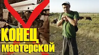 Конец мастерской.  Ухожу в пастухи /видео на реальных событиях/