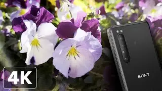 Sony Xperia Pro: 4K Cinema Pro Camera Test!