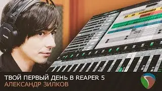 Твой первый день в Reaper 5 [Нескучный Саунд]