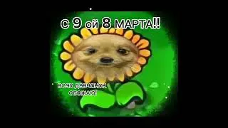АХАХА ПОЧЕМУ ХТО СМЕШНО??