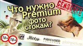 Как заработать на Премиум Фотостоках? Premium Royalty Free агентства. Выплаты на фотобанках