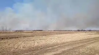 Пожар в Березовском заказнике