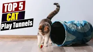 Best Cat Play Tunnels: A Review of Top-Rated Options