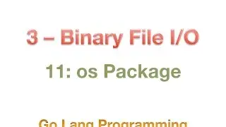 #golang #striversity 11.03 - Opening binary file in Go