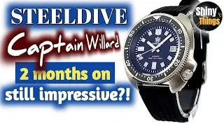 9 Weeks on... Still Impressive? - Steeldive SD 1970 follow up review