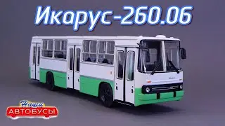 Икарус-260.06 Наши Автобусы Modimio | Обзор модели 